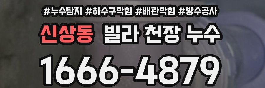 신상동 빌라 천장 누수