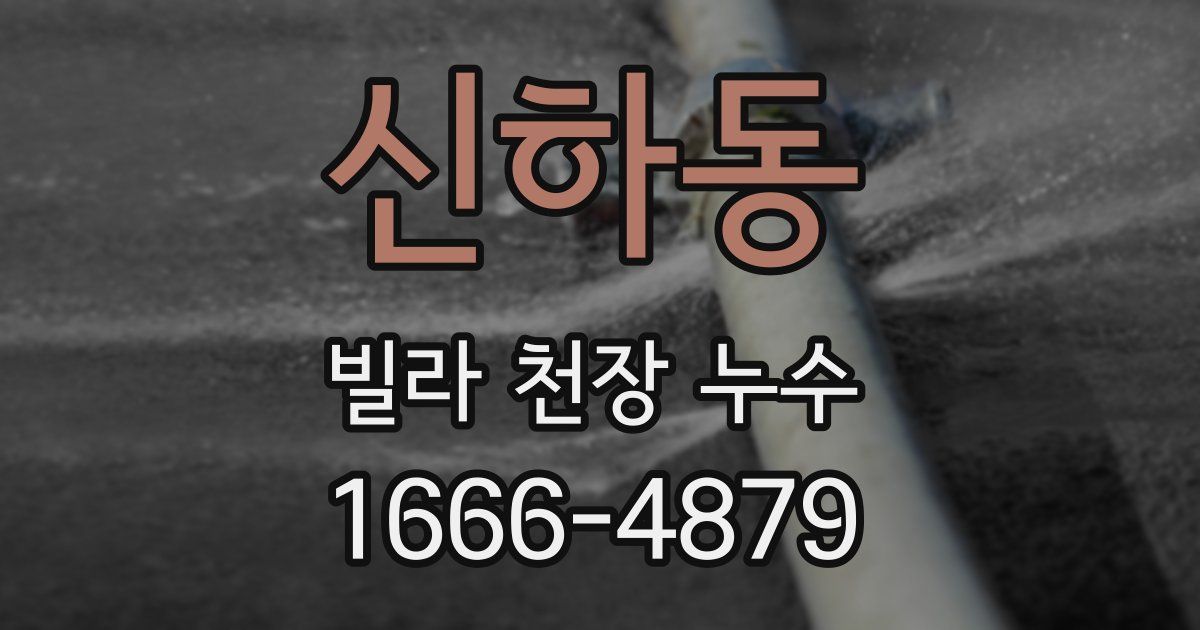 신하동 빌라 천장 누수