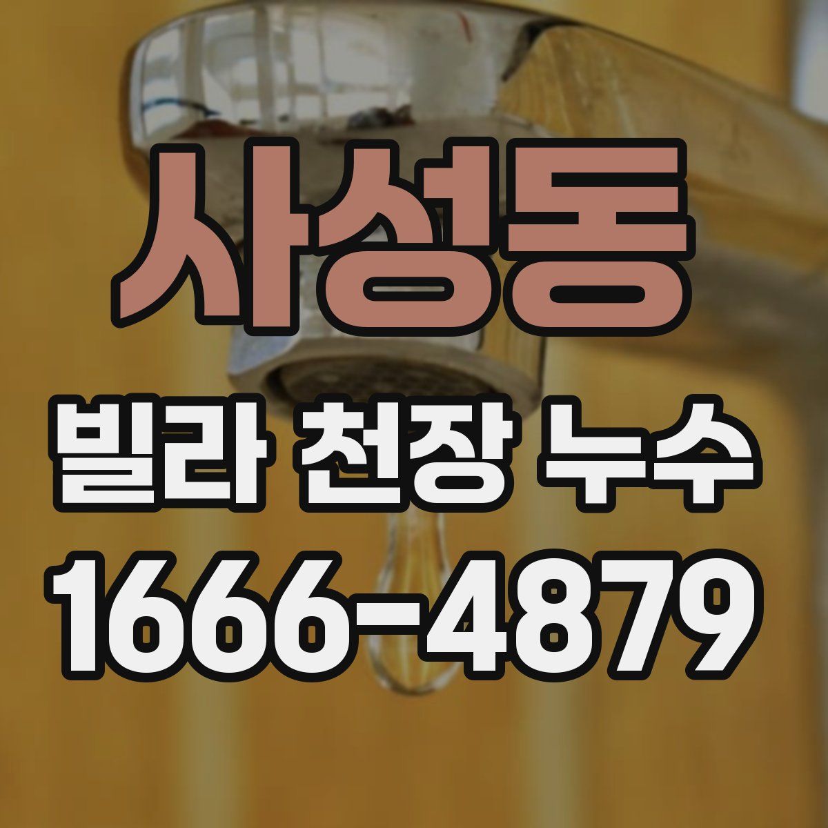 사성동 빌라 천장 누수