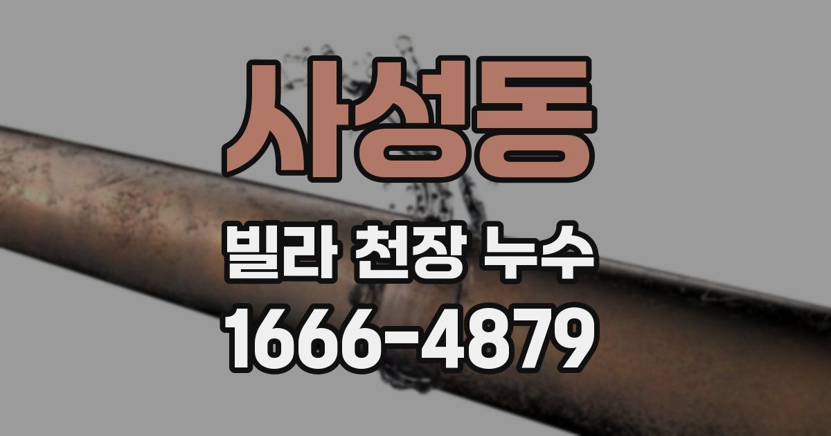 사성동 빌라 천장 누수