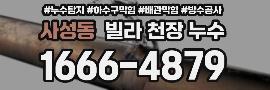 사성동 빌라 천장 누수