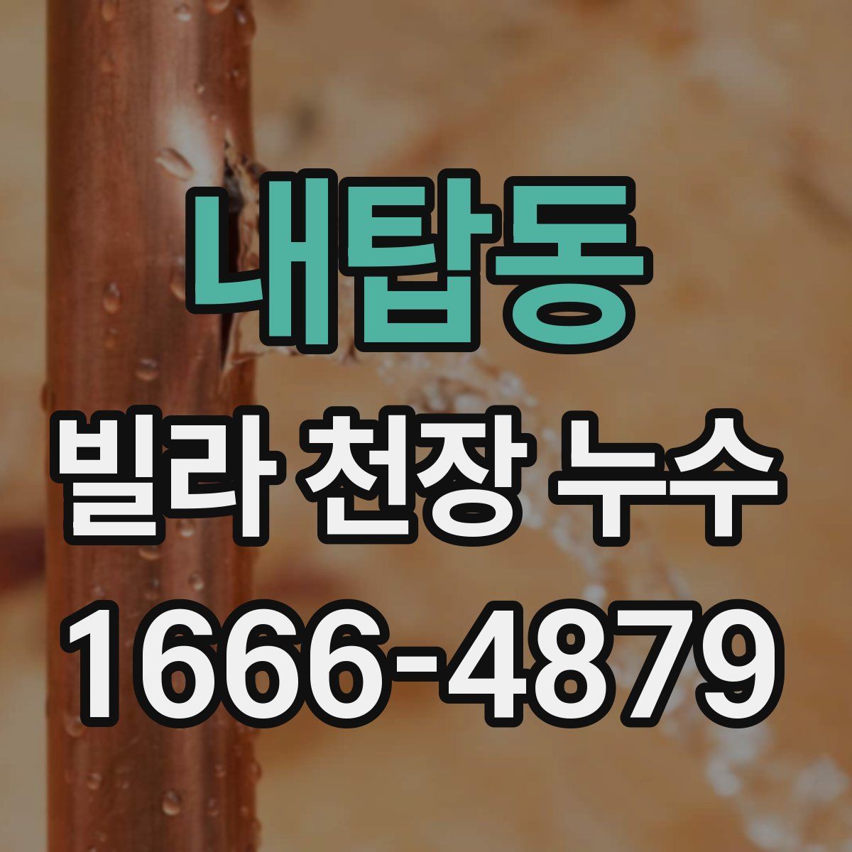 내탑동 빌라 천장 누수