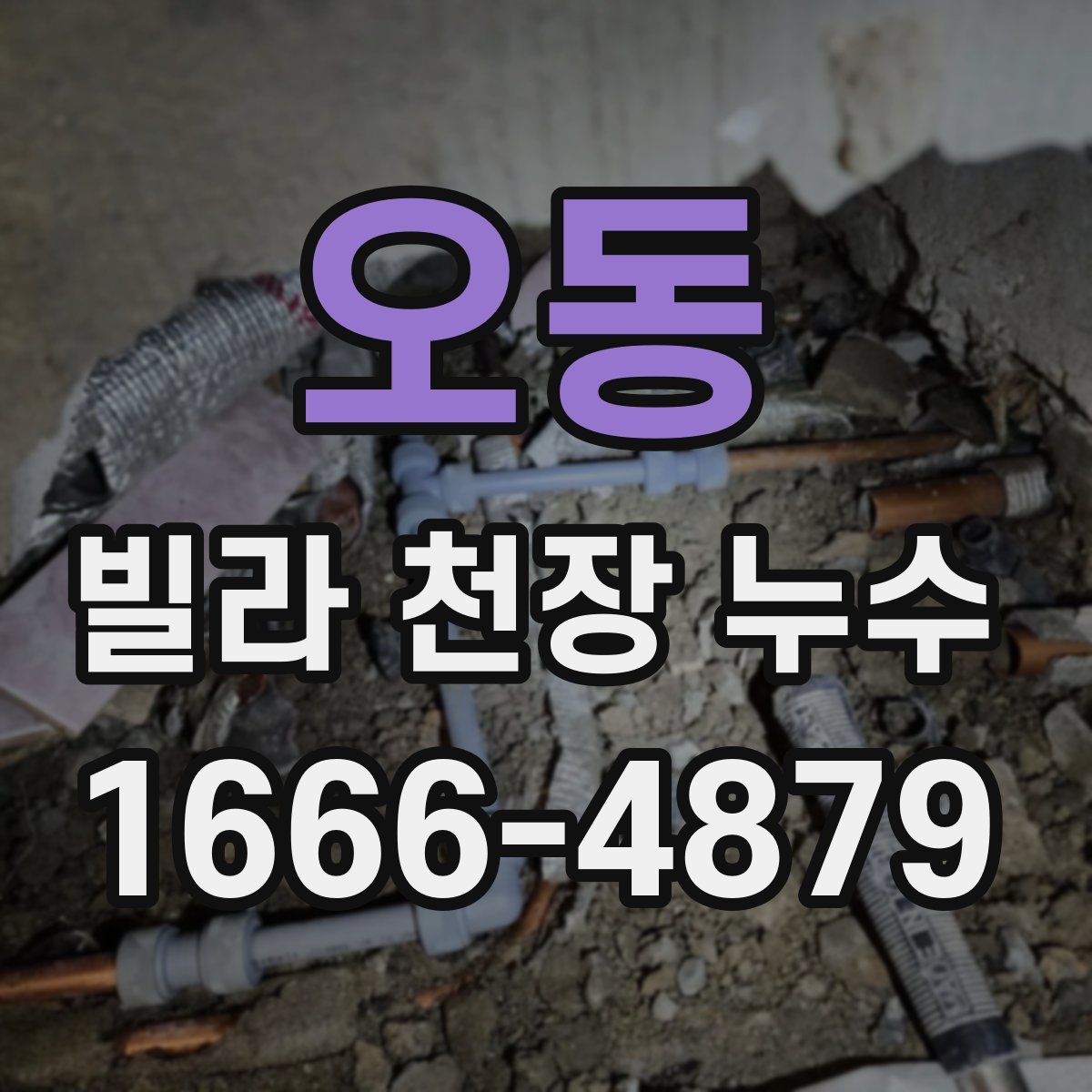 오동 빌라 천장 누수