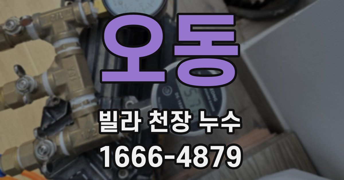 오동 빌라 천장 누수