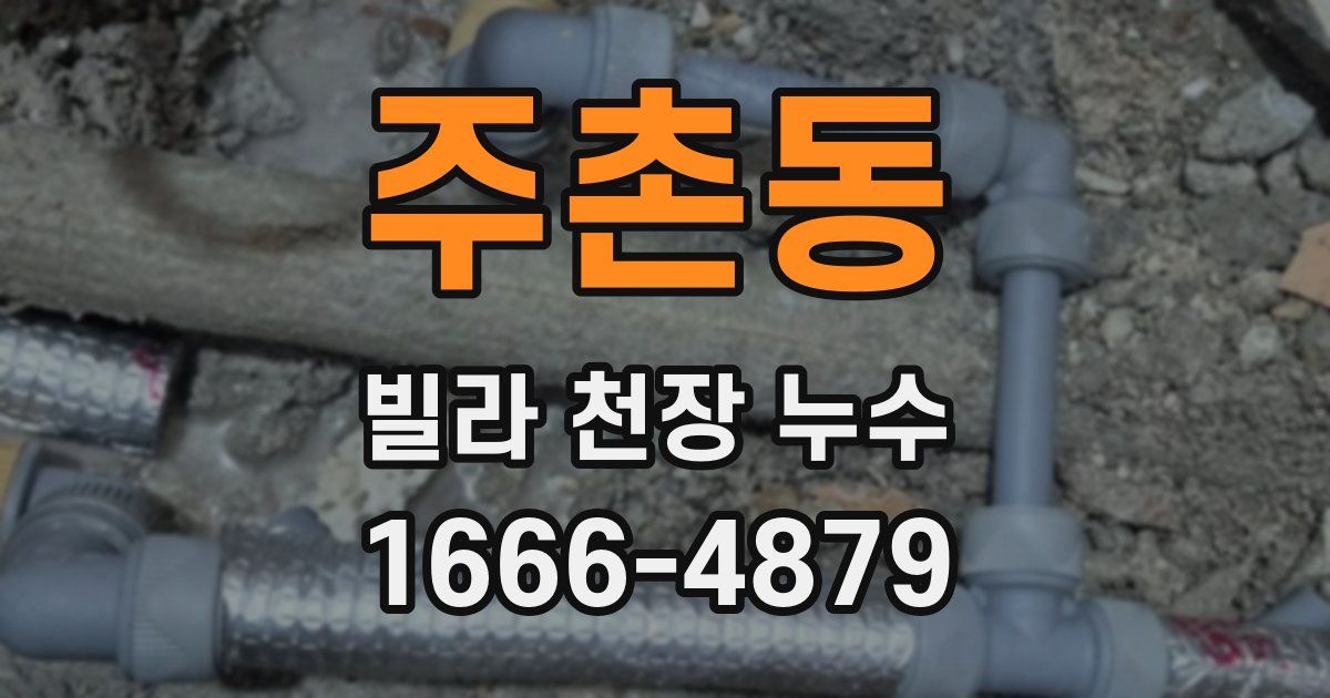 주촌동 빌라 천장 누수