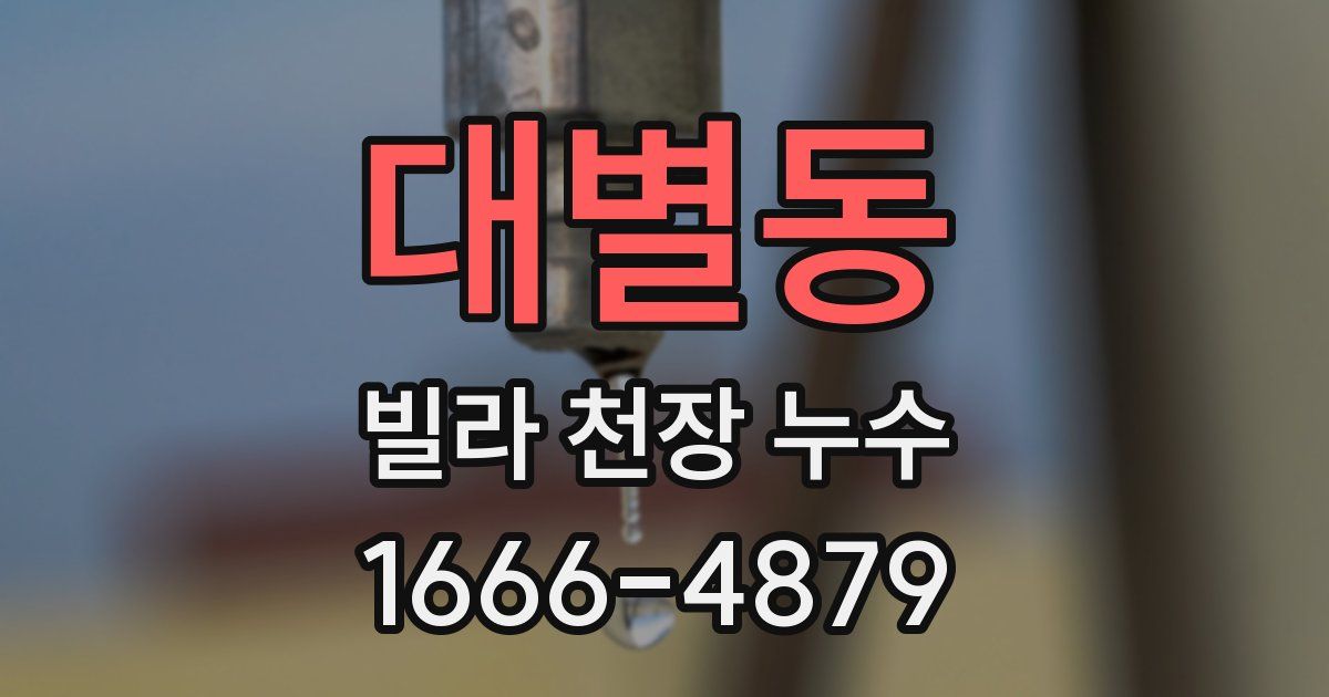 대별동 빌라 천장 누수