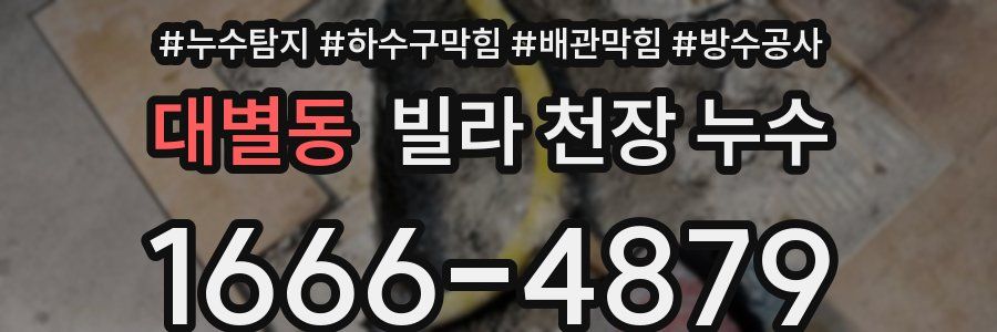 대별동 빌라 천장 누수