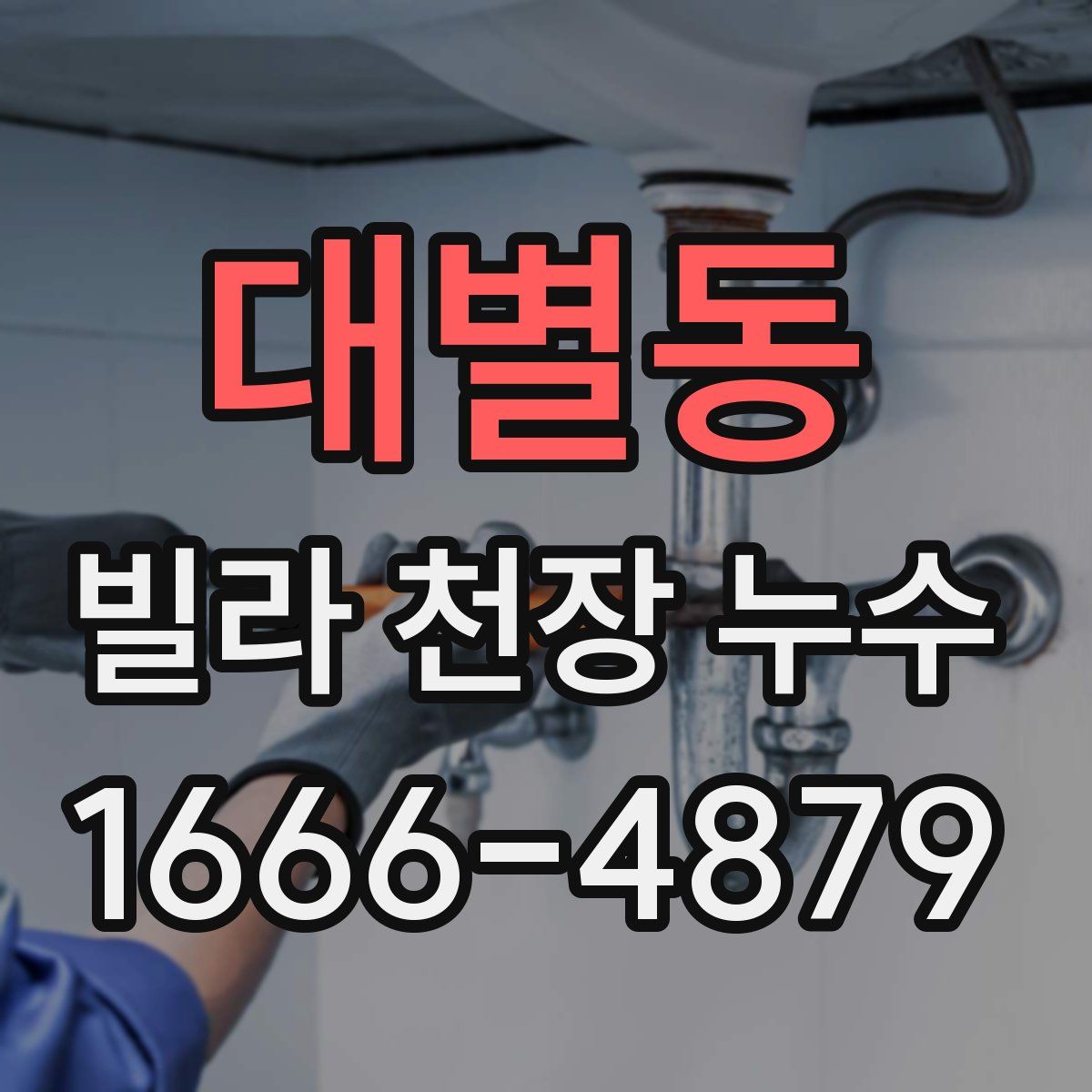 대별동 빌라 천장 누수