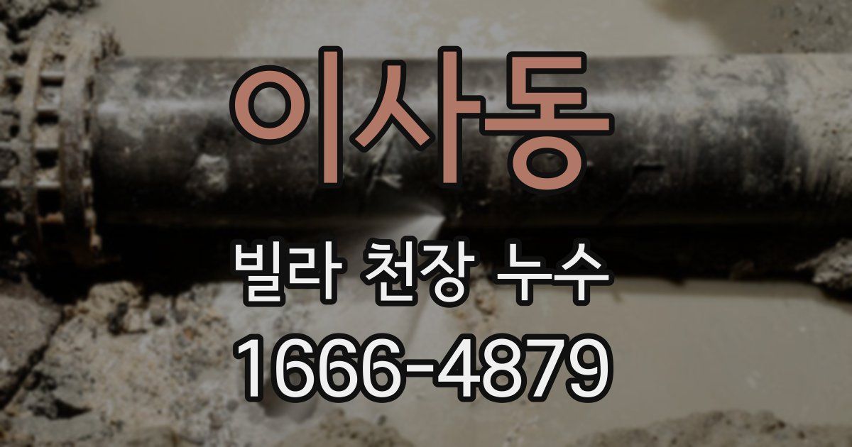 이사동 빌라 천장 누수
