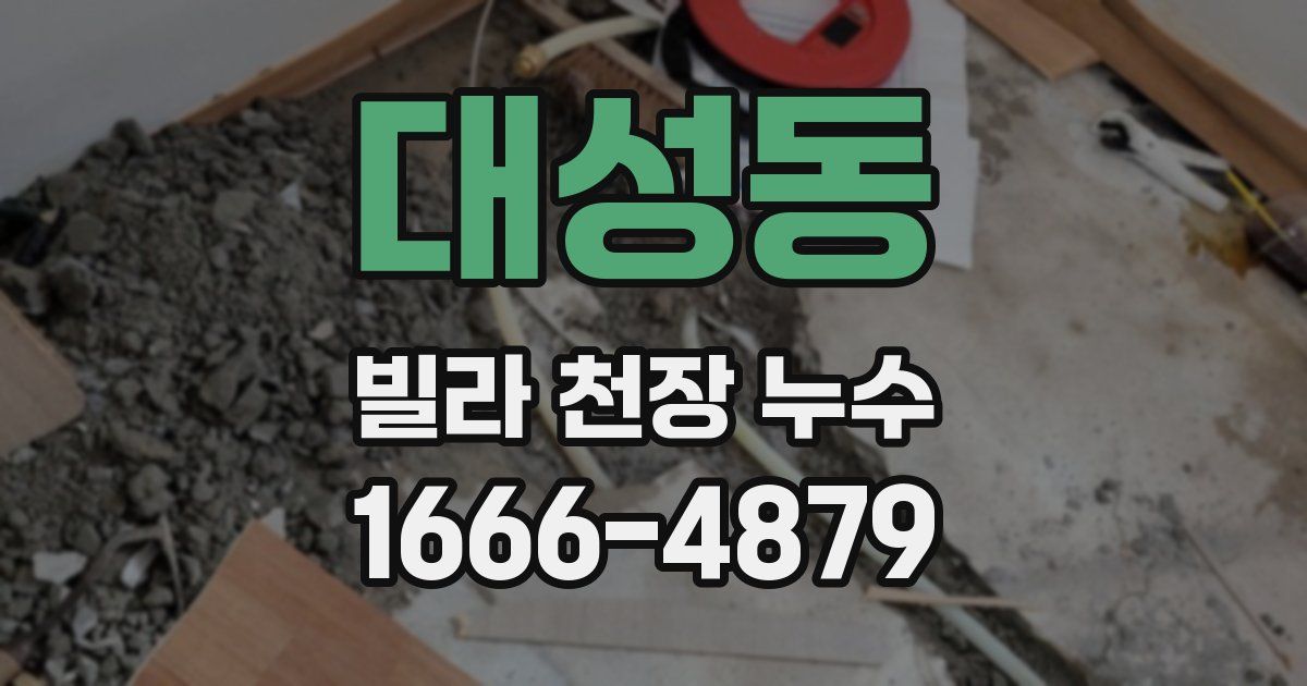 대성동 빌라 천장 누수