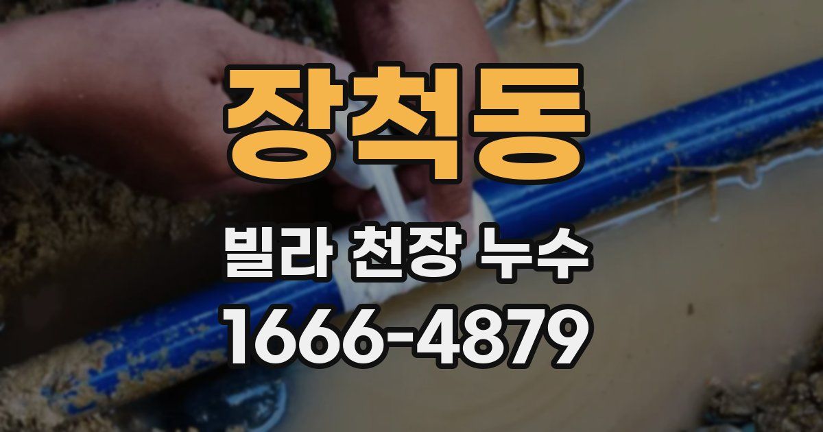 장척동 빌라 천장 누수
