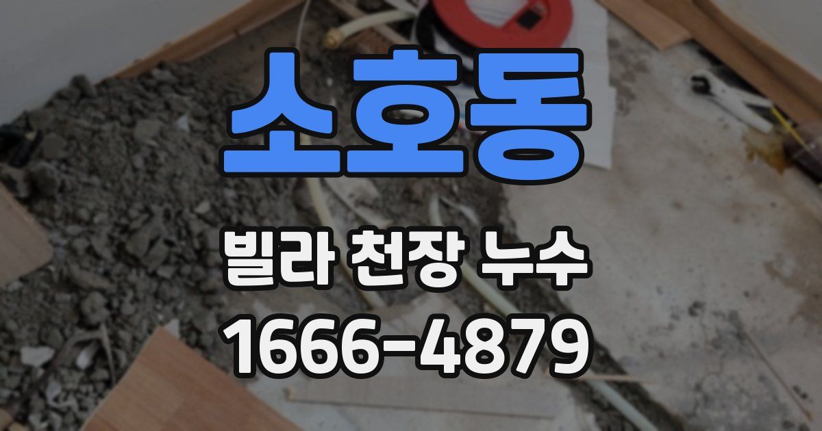 소호동 빌라 천장 누수