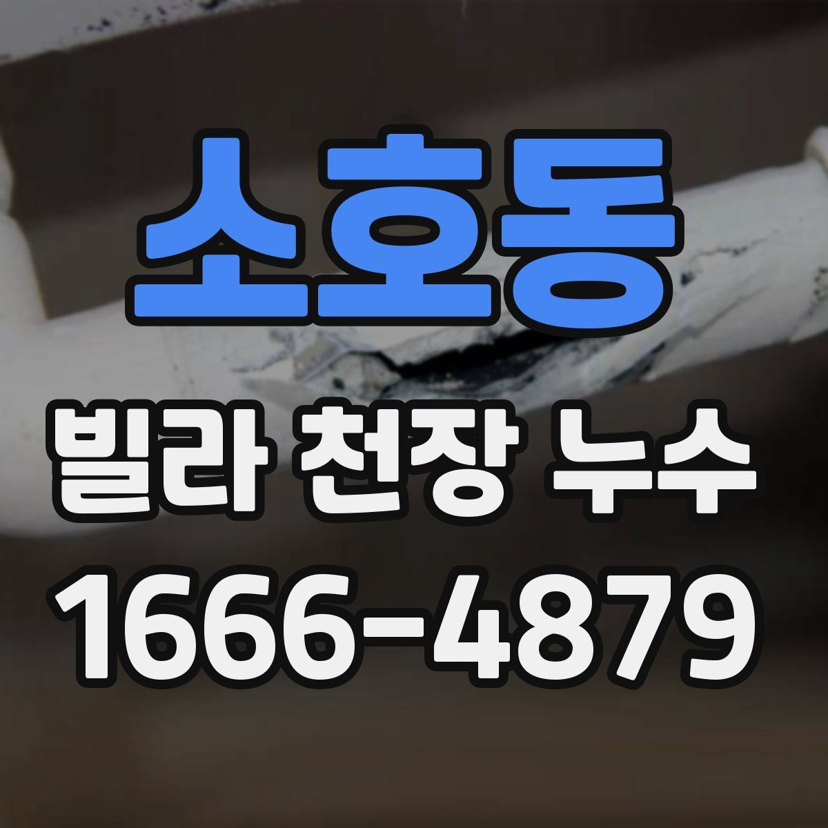 소호동 빌라 천장 누수
