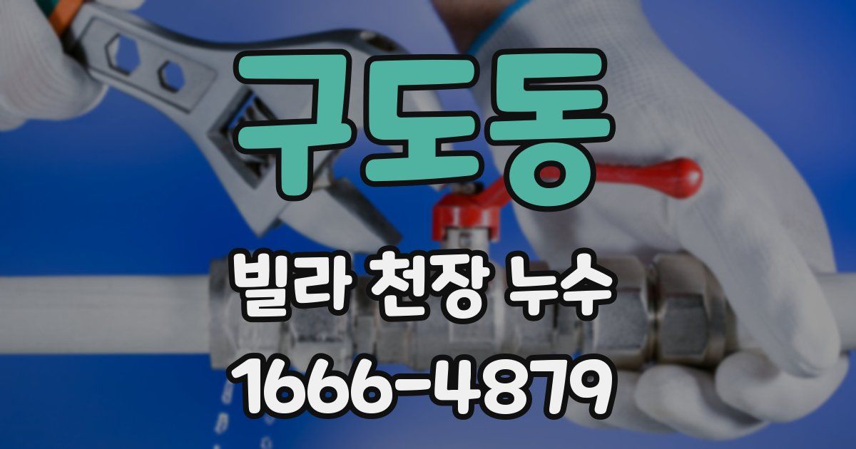 구도동 빌라 천장 누수