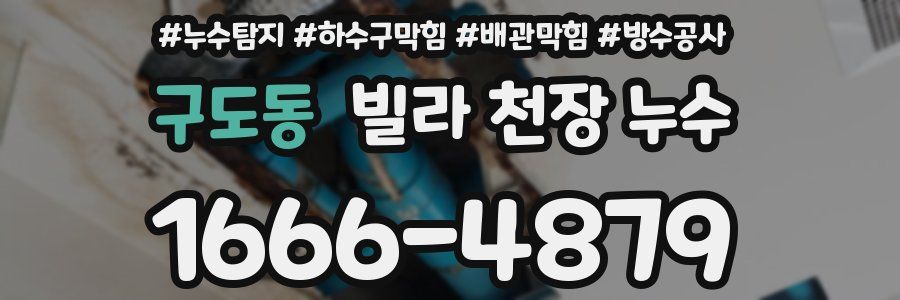 구도동 빌라 천장 누수