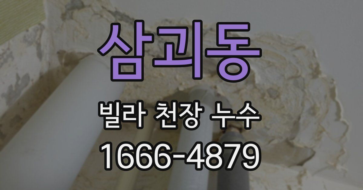 삼괴동 빌라 천장 누수