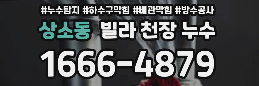 상소동 빌라 천장 누수