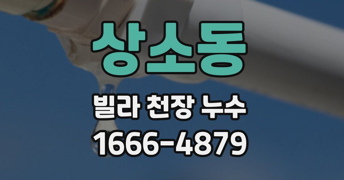 상소동 빌라 천장 누수