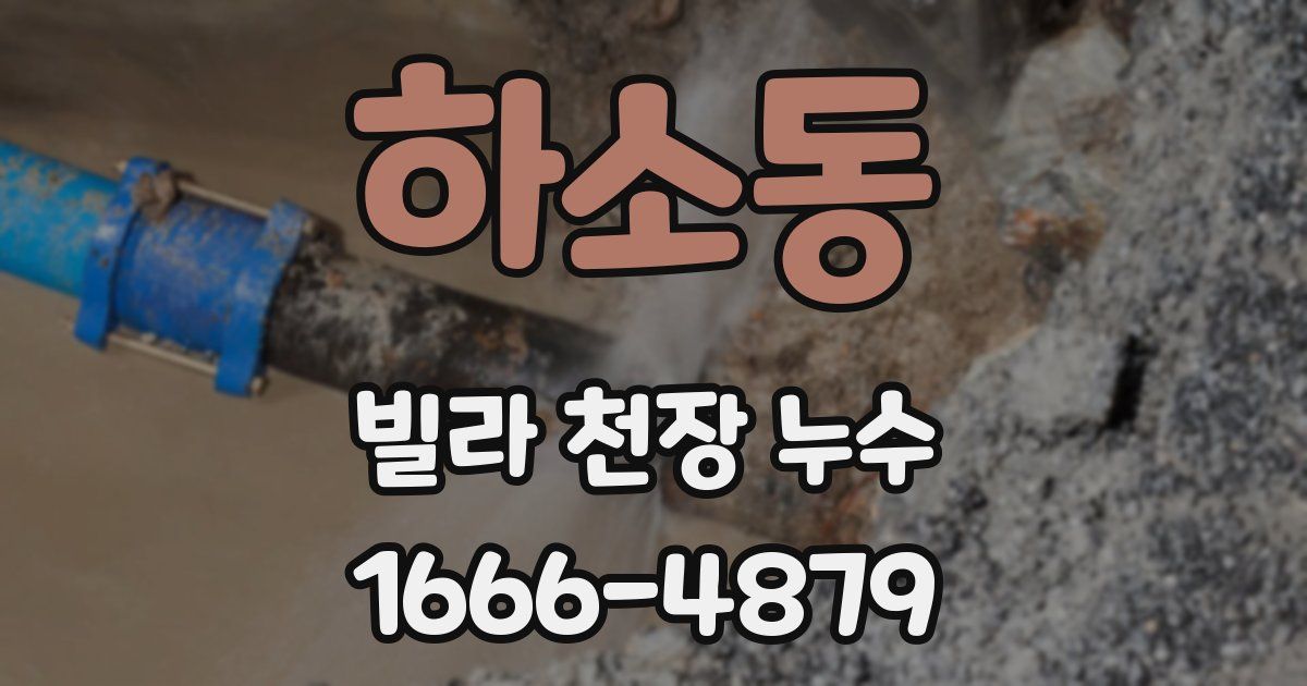 하소동 빌라 천장 누수