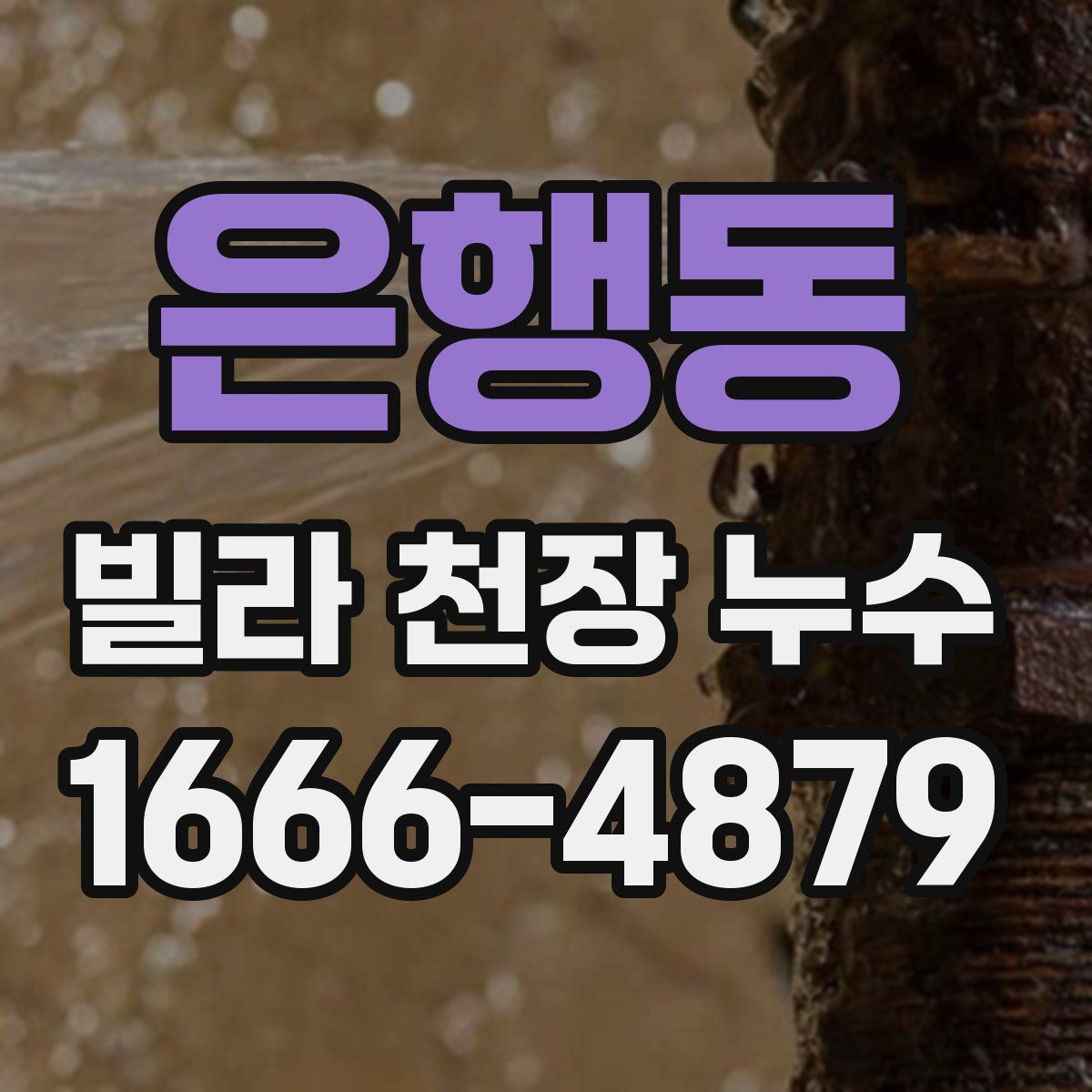 은행동 빌라 천장 누수