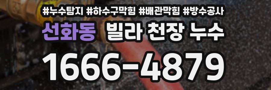 선화동 빌라 천장 누수