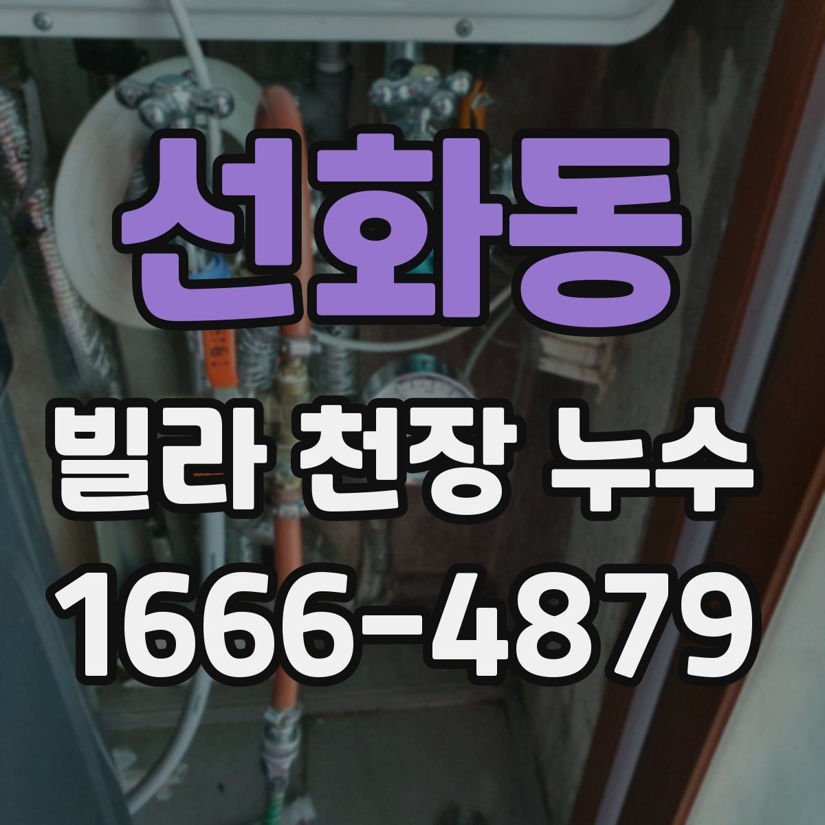 선화동 빌라 천장 누수
