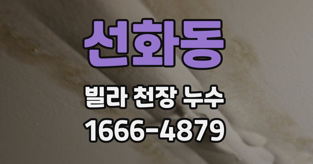 선화동 빌라 천장 누수