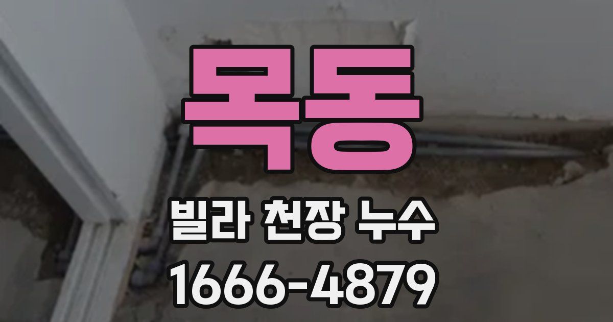 목동 빌라 천장 누수