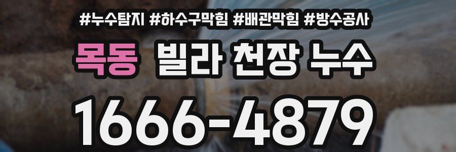목동 빌라 천장 누수