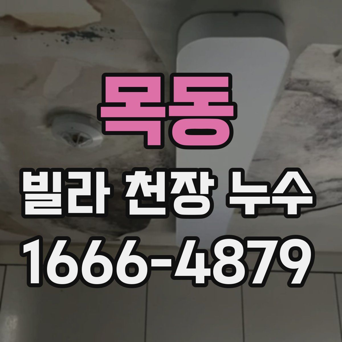 목동 빌라 천장 누수