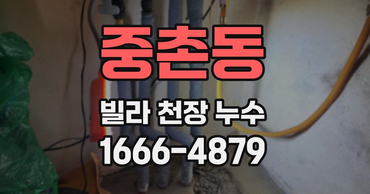 중촌동 빌라 천장 누수