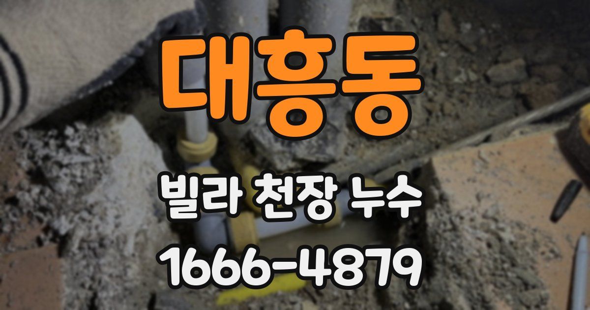 대흥동 빌라 천장 누수
