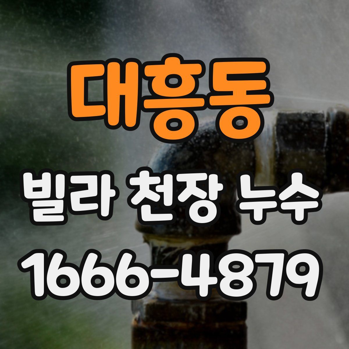 대흥동 빌라 천장 누수