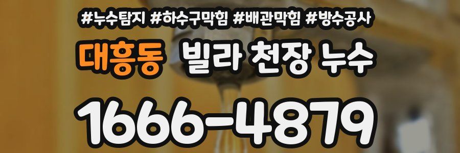 대흥동 빌라 천장 누수