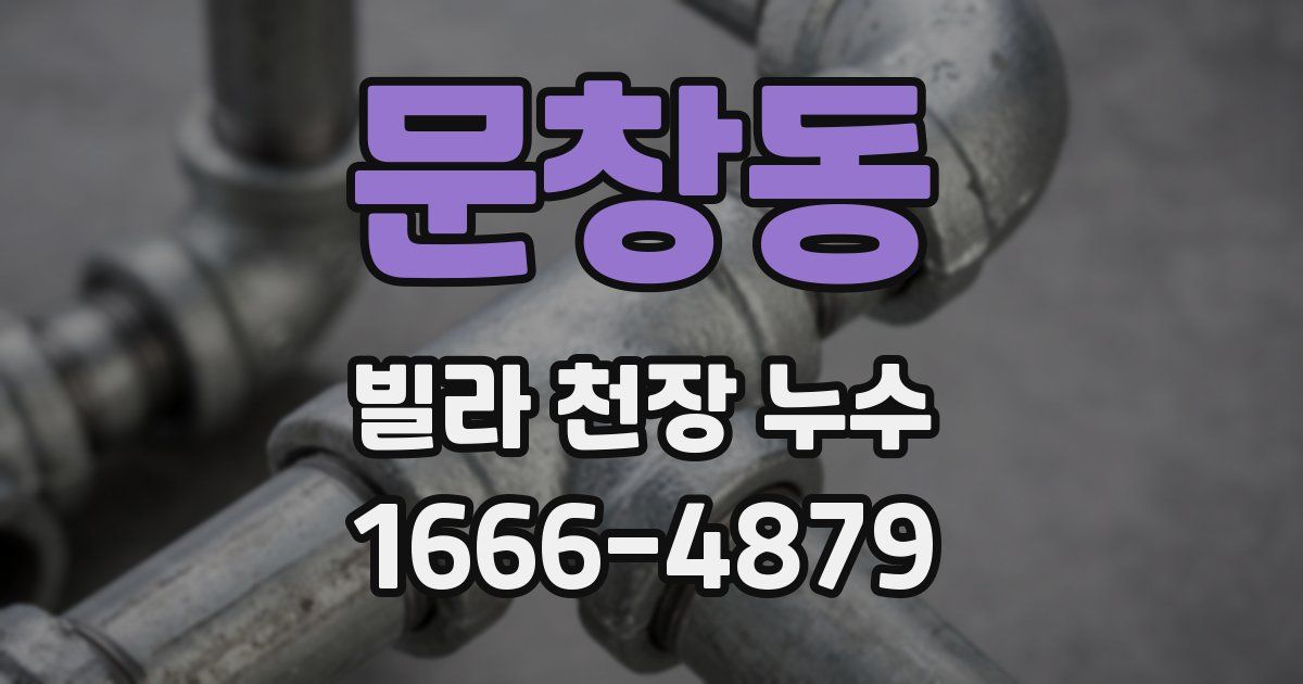 문창동 빌라 천장 누수