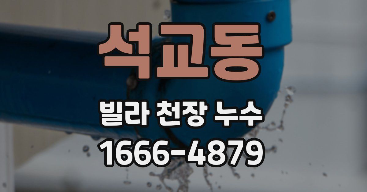 석교동 빌라 천장 누수