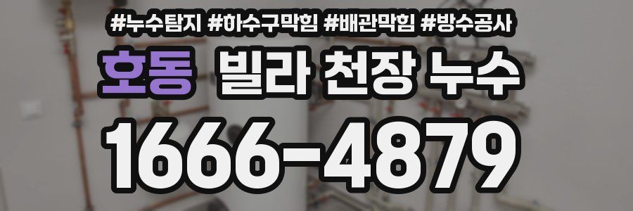 호동 빌라 천장 누수