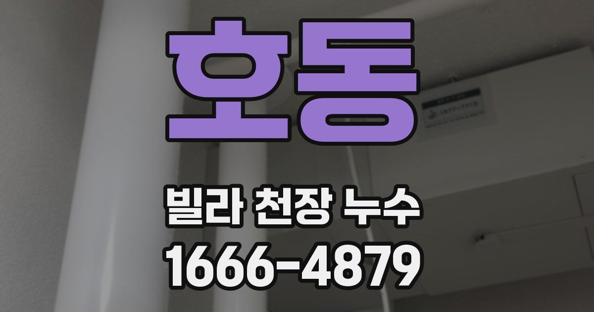 호동 빌라 천장 누수