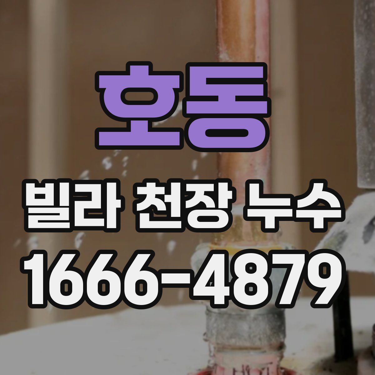 호동 빌라 천장 누수