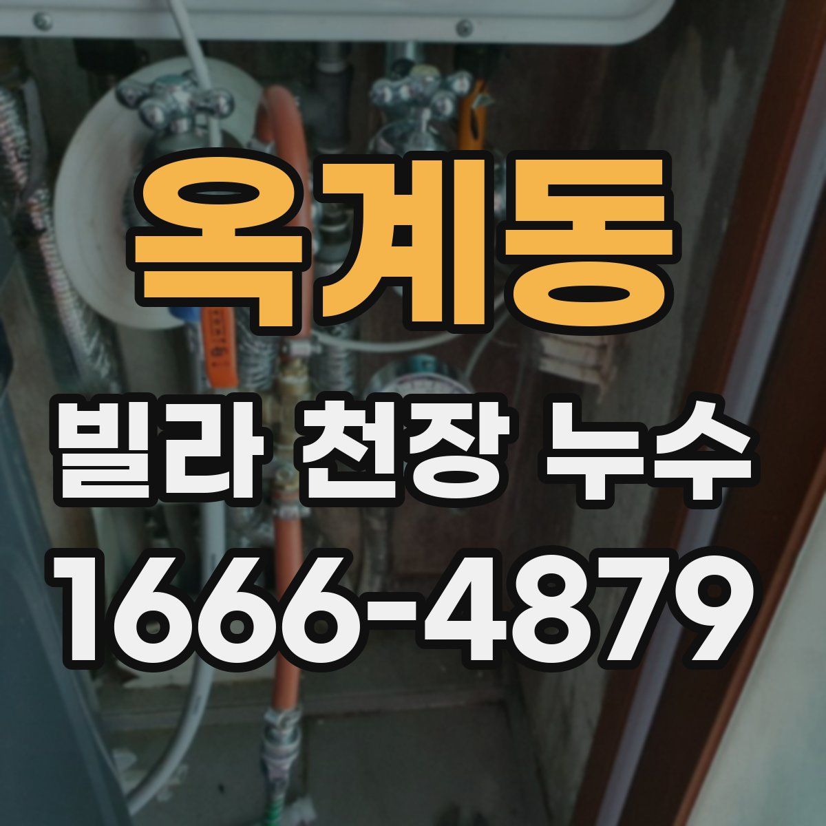 옥계동 빌라 천장 누수
