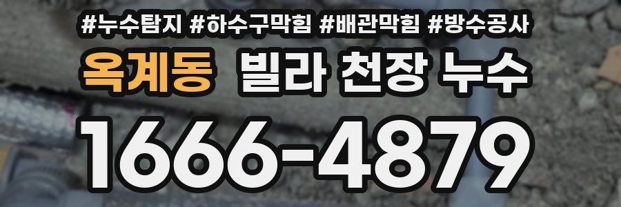 옥계동 빌라 천장 누수