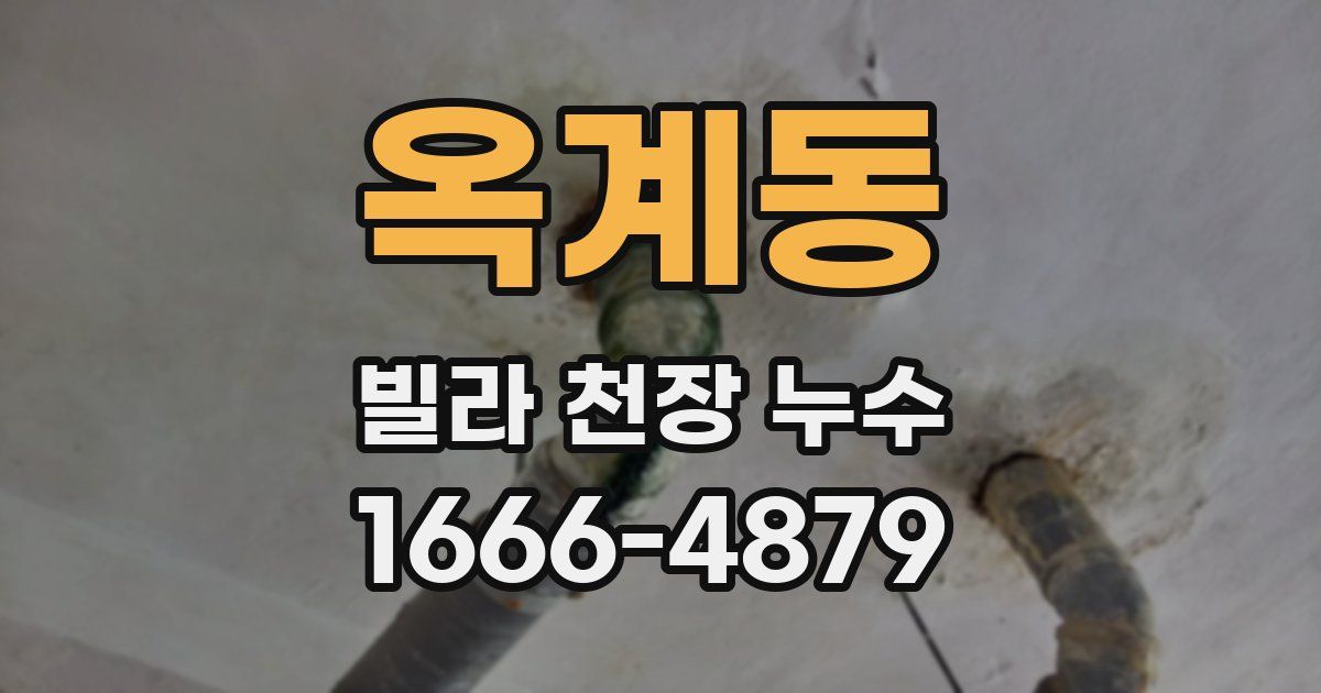 옥계동 빌라 천장 누수