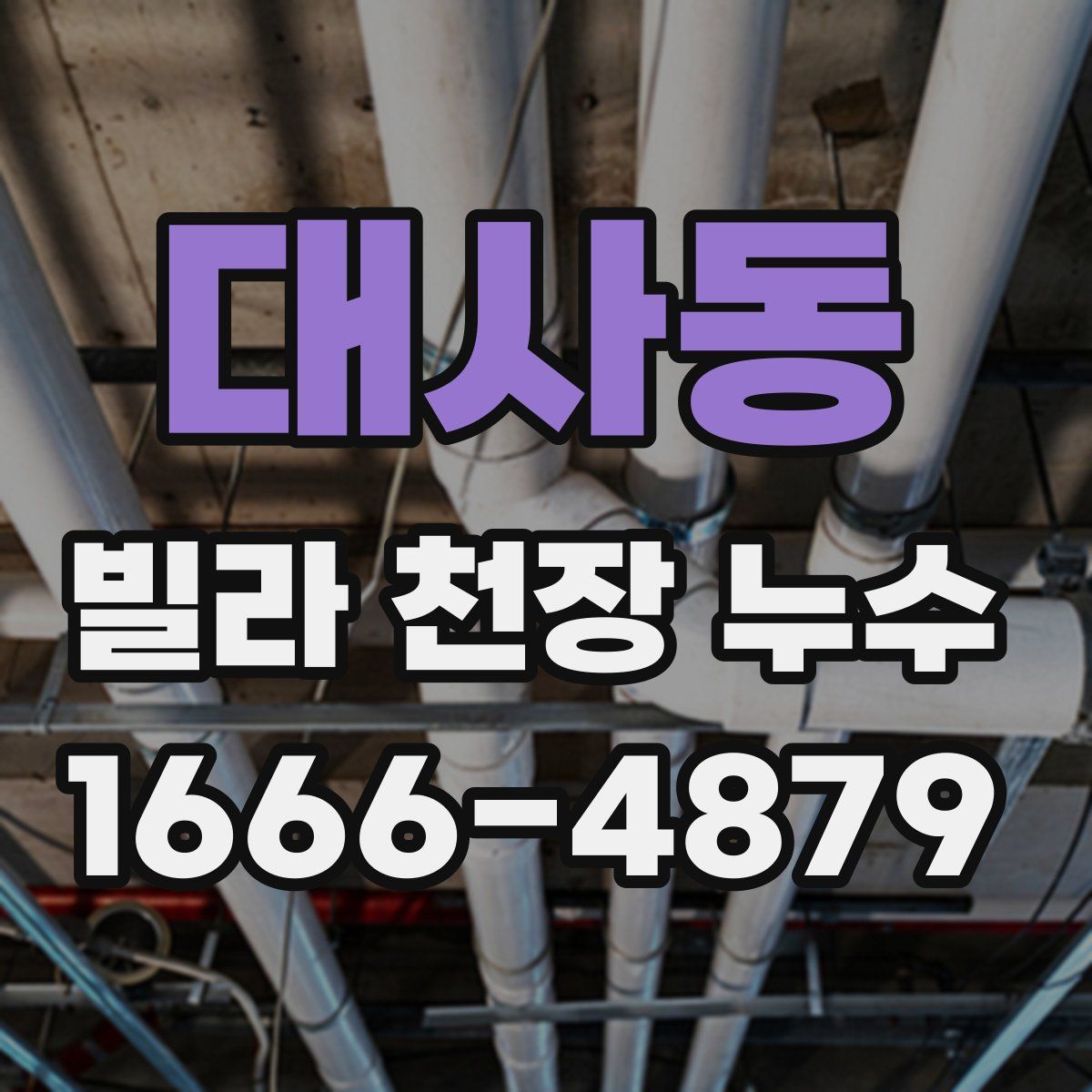 대사동 빌라 천장 누수