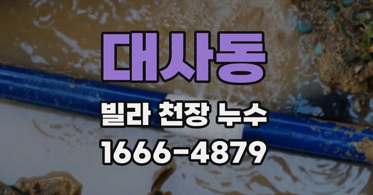 대사동 빌라 천장 누수