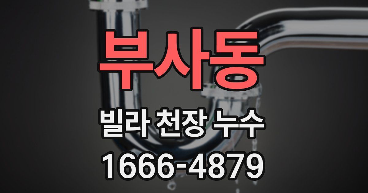 부사동 빌라 천장 누수
