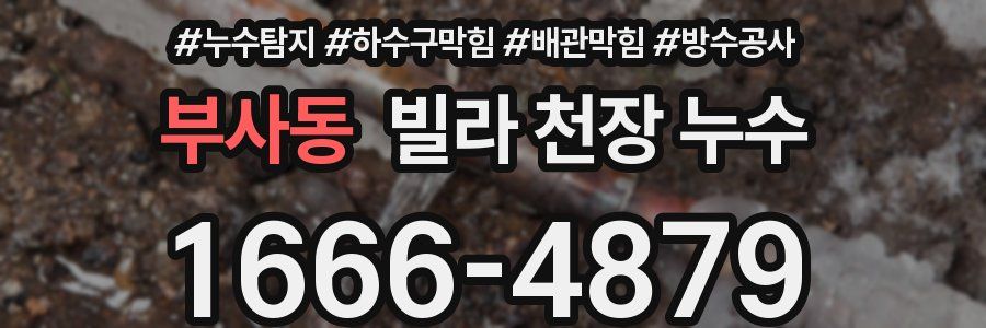 부사동 빌라 천장 누수