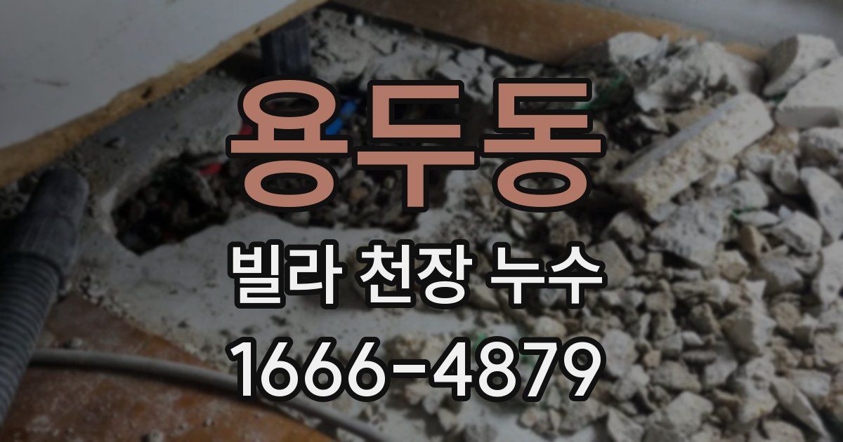 용두동 빌라 천장 누수