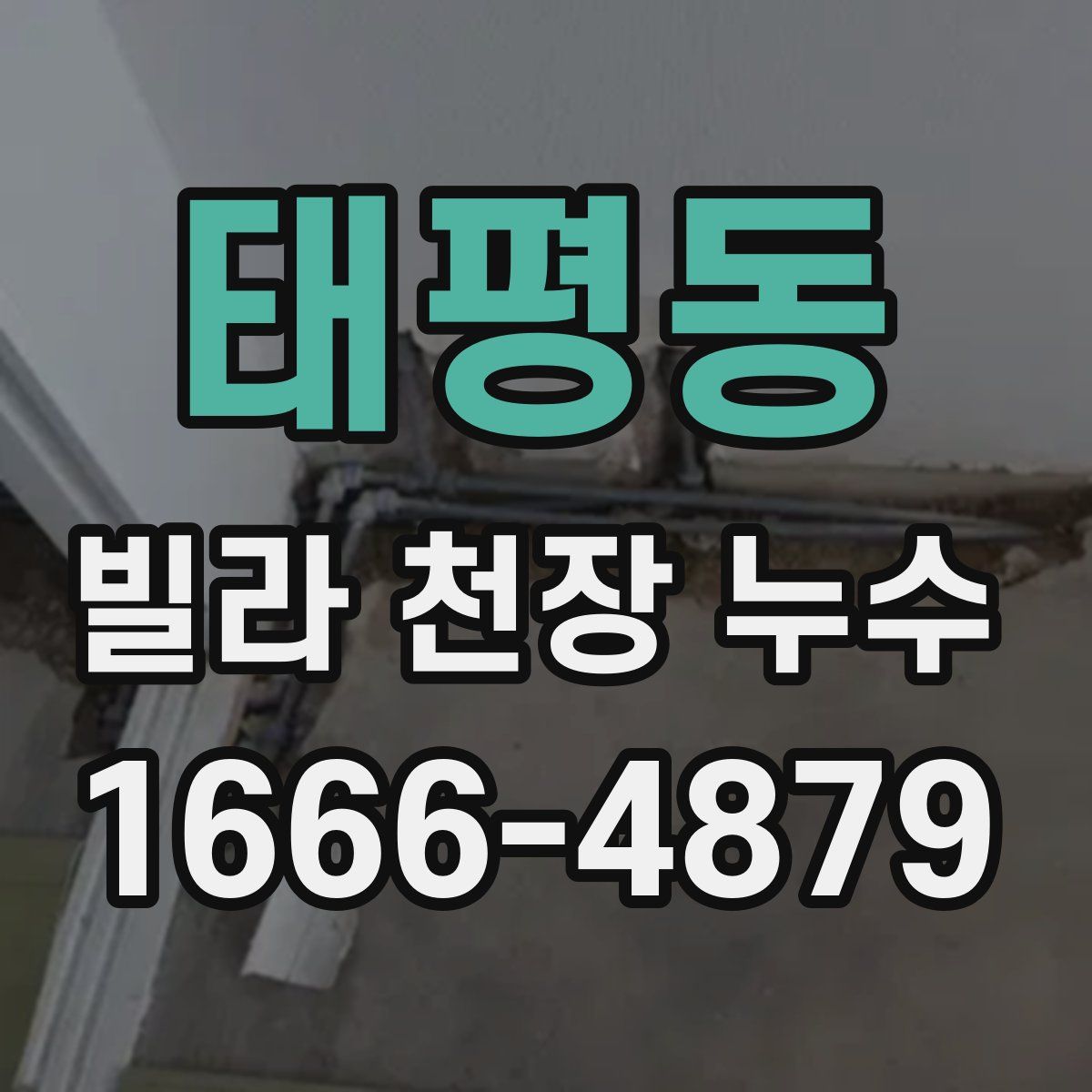 태평동 빌라 천장 누수