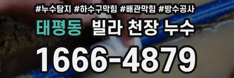 태평동 빌라 천장 누수