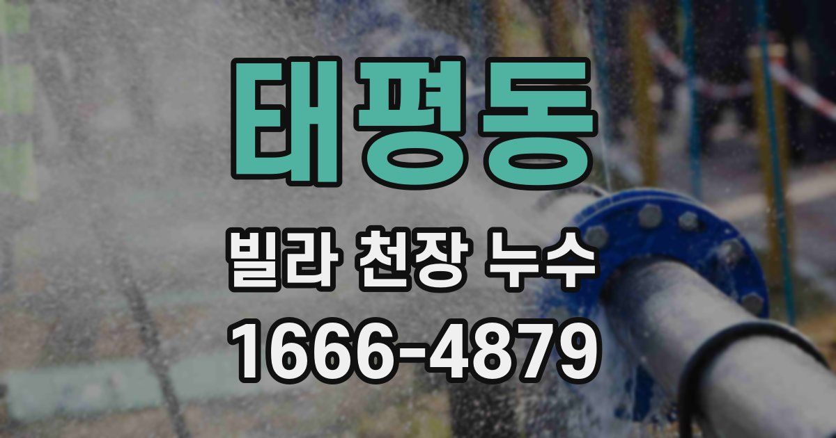 태평동 빌라 천장 누수